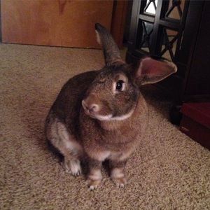 Meet your Posher, Sherry